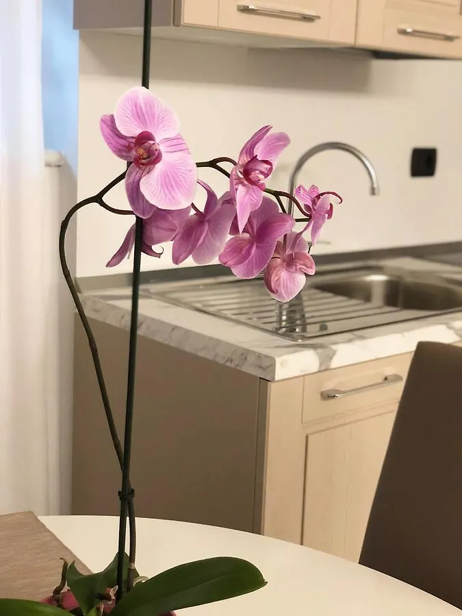 Marina Centro Suite Rimini Apartmán